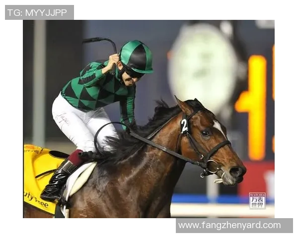 MMA格斗赛事预告下一场硬碰硬激烈对决名单正式揭晓 MMA格斗赛事预告下一场硬碰硬激烈对决名单正式揭晓